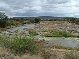 safari tsavo river