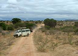 safari_kenya_2034.JPG