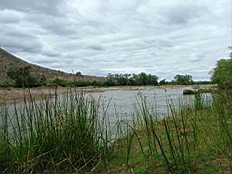 safari_kenya_2064.JPG