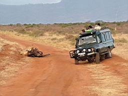 organizator safari kenia, kenya super tours