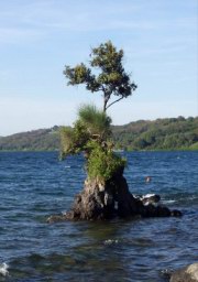 lago_di_bracciano_22.jpg