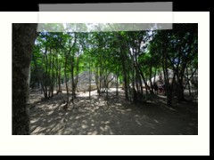 coba_010