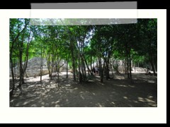 coba_011