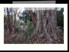 coba_012