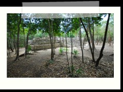 coba_018