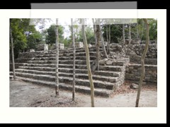 coba_0733