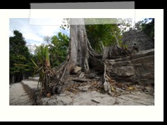 coba_074