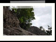 coba_081