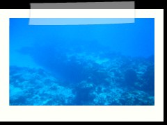 messico_diving_0835