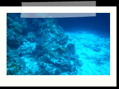 messico_diving_0845
