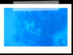messico_diving_0872