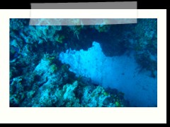 messico_diving_0876