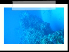 messico_diving_0879