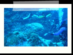 messico_diving_0880