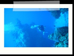 messico_diving_0883