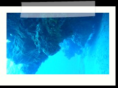 messico_diving_0890
