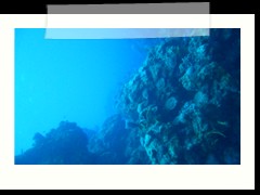 messico_diving_0904
