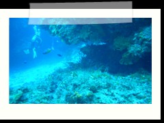 messico_diving_0907