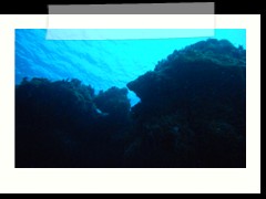 messico_diving_0911