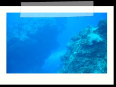 messico_diving_0913