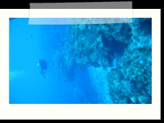 messico_diving_0923