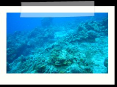 messico_diving_0925