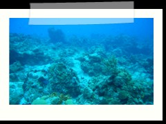 messico_diving_0926