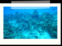 messico_diving_0927