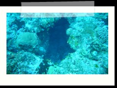 messico_diving_0929