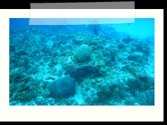 messico_diving_0932