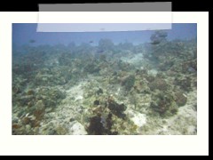 messico_diving_0944
