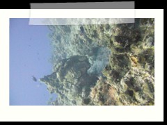messico_diving_0952