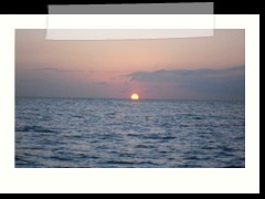 messico_diving_0961