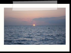 messico_diving_0962