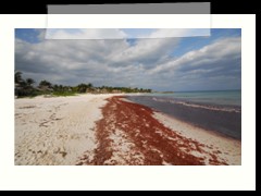 messico_094