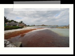 messico_110