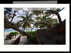 messico_134