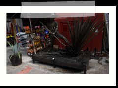 playa_del_carmen_0984
