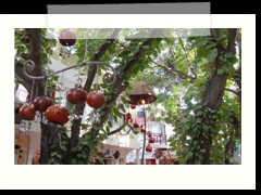 playa_del_carmen_0995