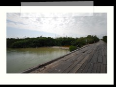 rio_lagartos_503