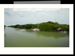 rio_lagartos_504