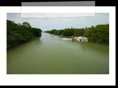 rio_lagartos_505