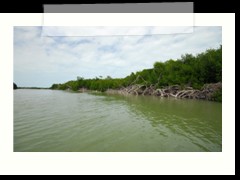 rio_lagartos_508