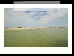 rio_lagartos_518