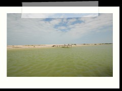 rio_lagartos_519