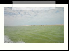 rio_lagartos_520