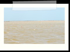 rio_lagartos_523