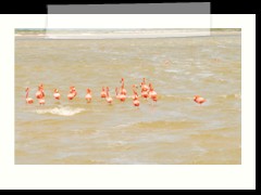 rio_lagartos_526