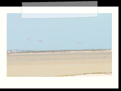 rio_lagartos_530