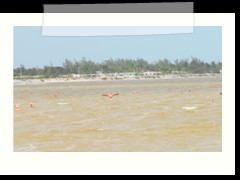 rio_lagartos_534